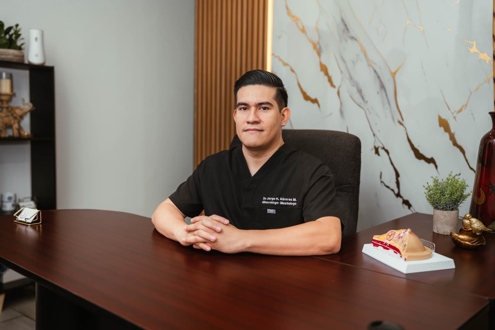 Ginecólogo y Obstetra | Mastólogo y Cirujano Endoscópico Dr. Jorge Humberto Albores Mejía